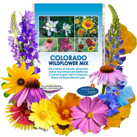 Colorado Wildflower Mix