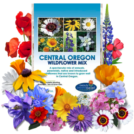 Central Oregon Wildflower Mix