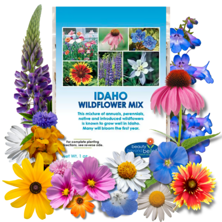 Idaho Wildflower Mix