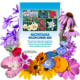 Montana Wildflower Mix