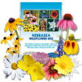 Nebraska Wildflower Mix