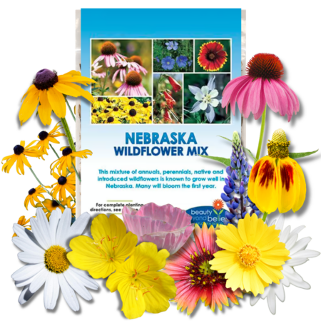 Nebraska Wildflower Mix