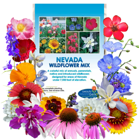 Nevada Wildflower Mix