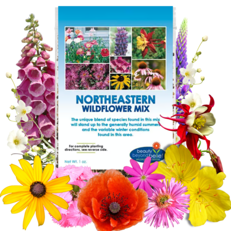 Northeastern Wildflower Mix